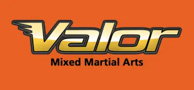 Valor Logo